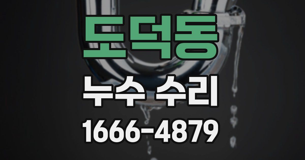 도덕동 누수 수리