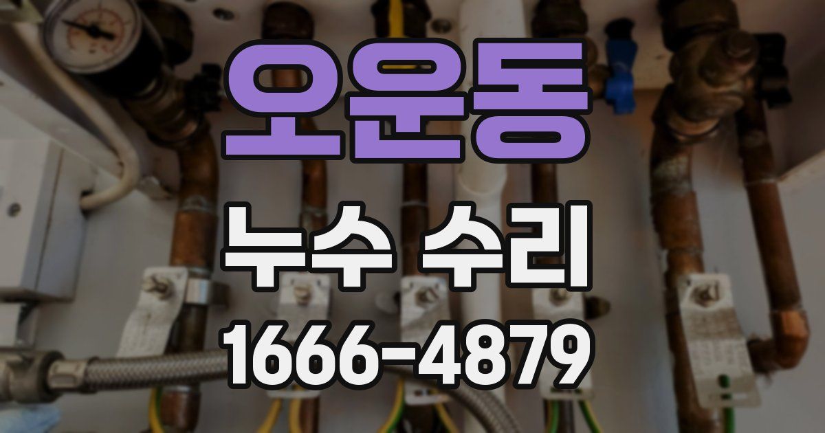 오운동 누수 수리