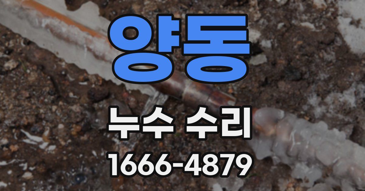 양동 누수 수리
