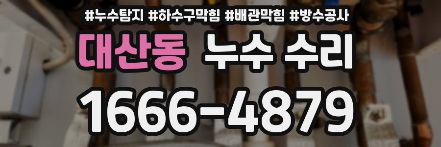 대산동 누수 수리