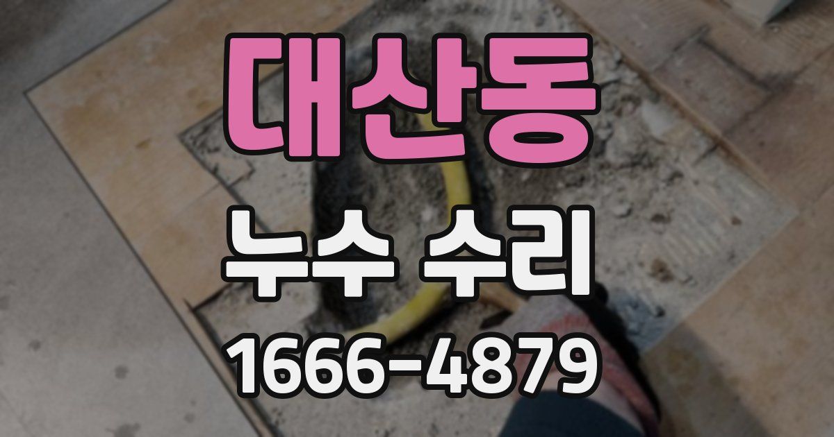 대산동 누수 수리