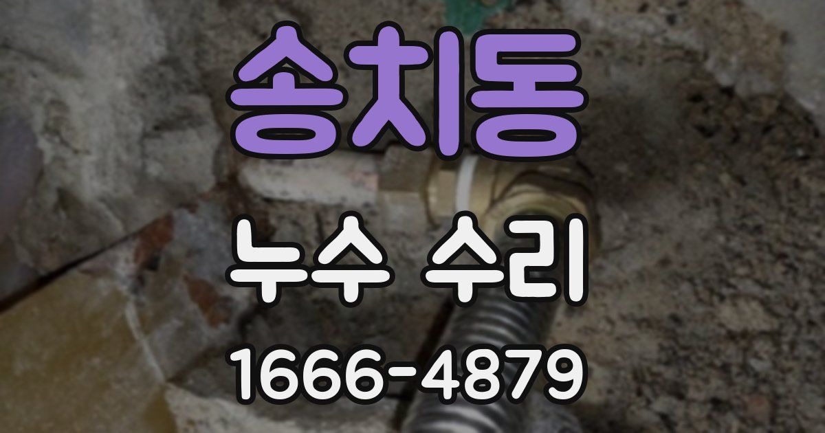 송치동 누수 수리
