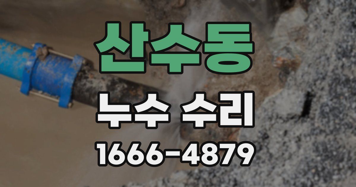 산수동 누수 수리