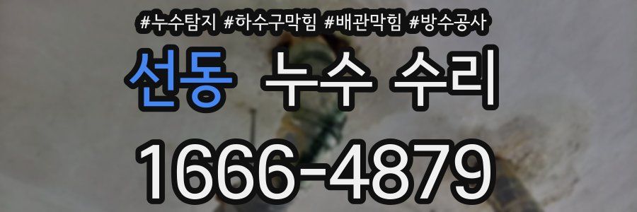 선동 누수 수리