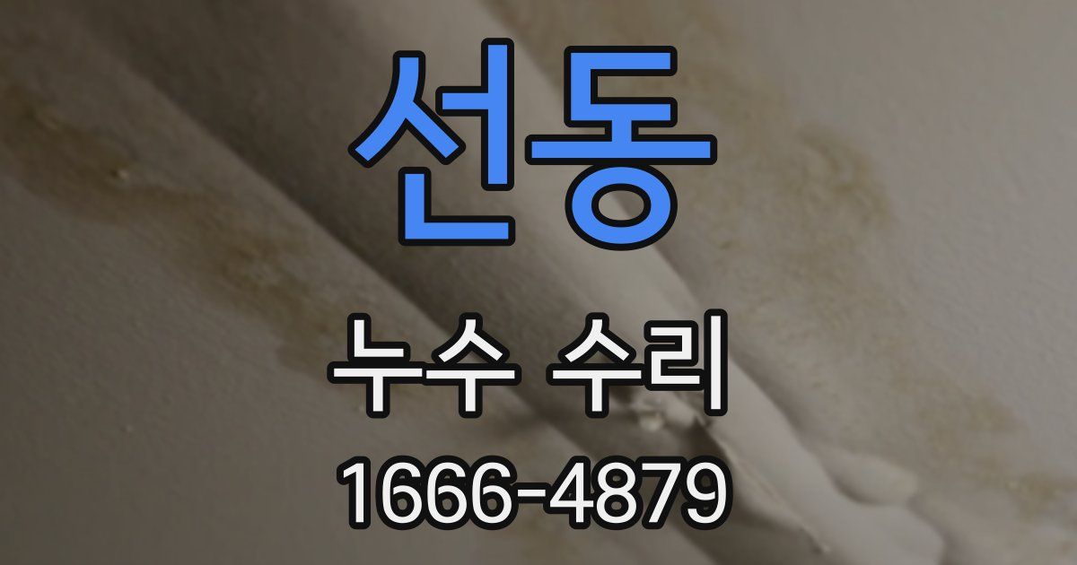 선동 누수 수리