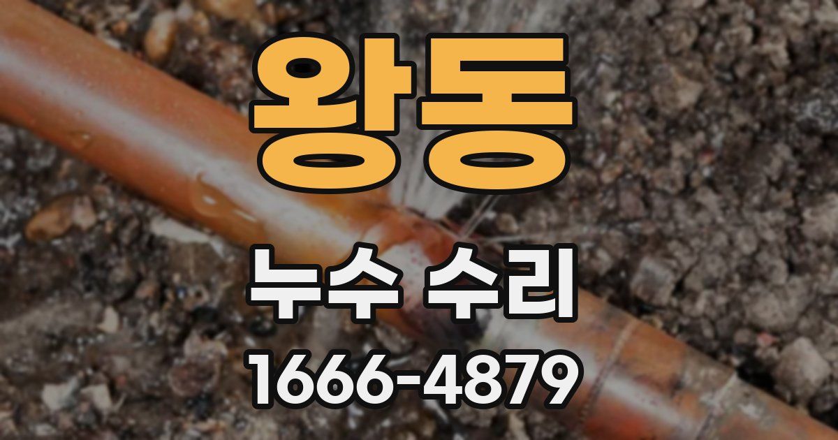 왕동 누수 수리