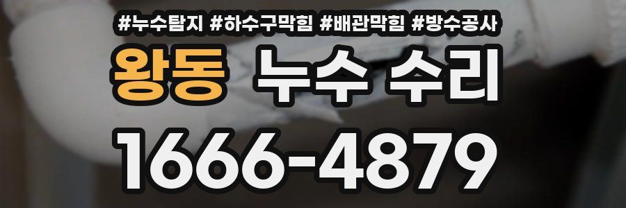 왕동 누수 수리