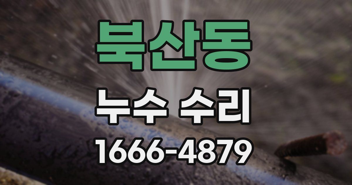 북산동 누수 수리