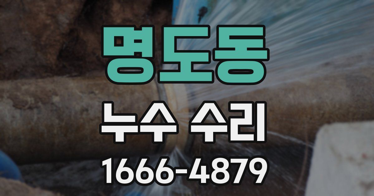 명도동 누수 수리