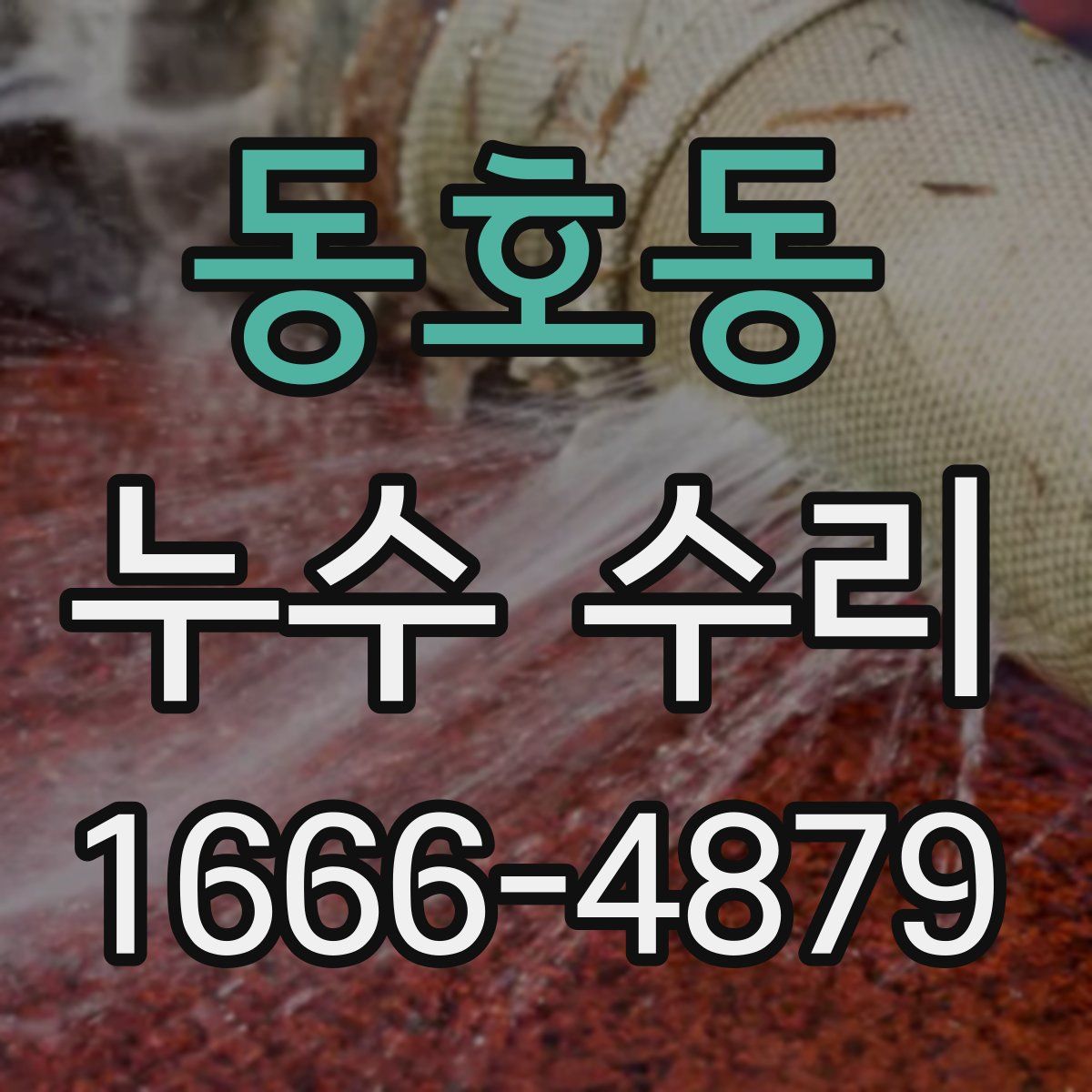 동호동 누수 수리