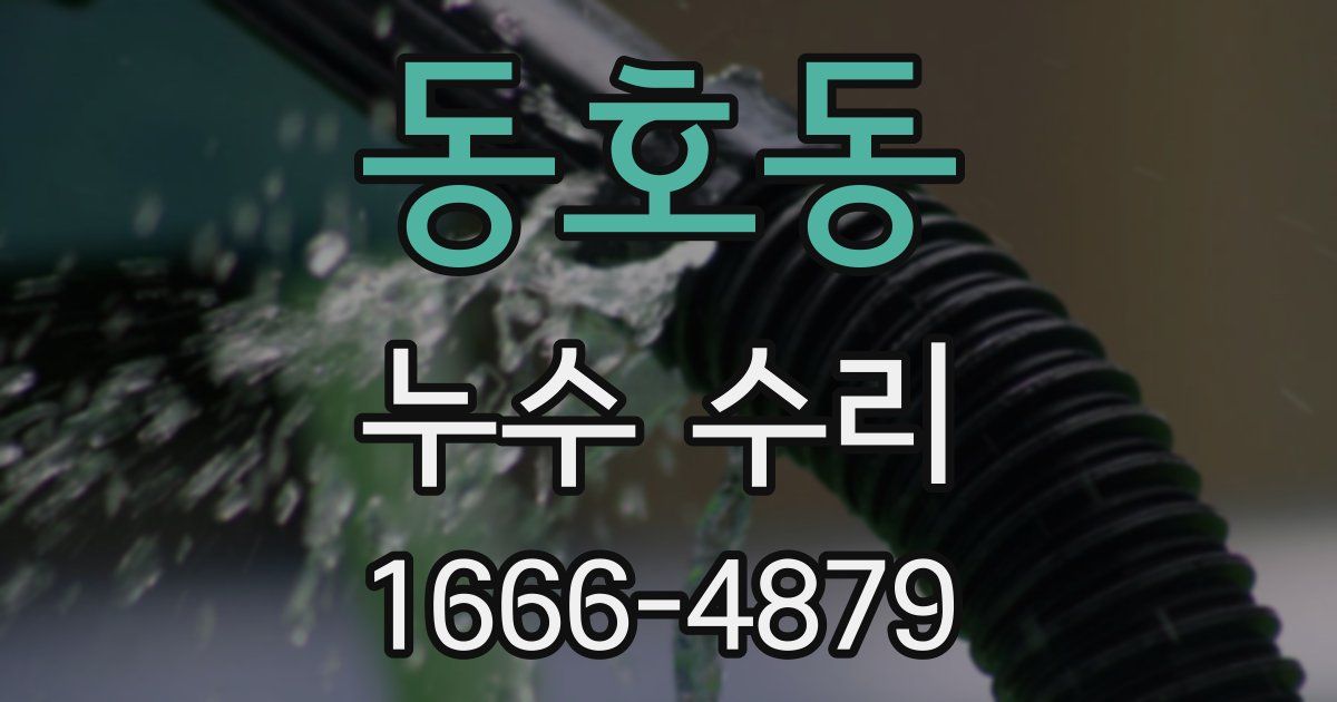 동호동 누수 수리