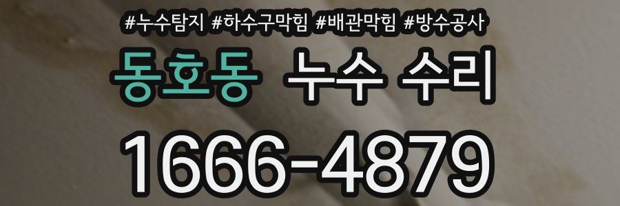동호동 누수 수리