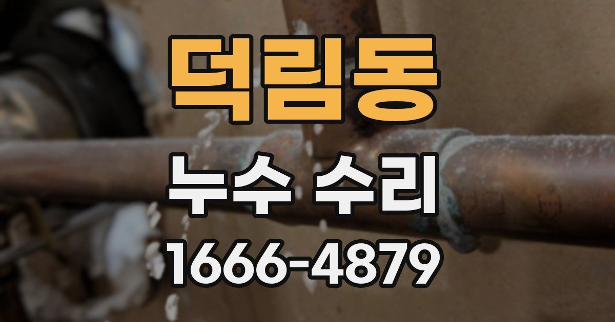 덕림동 누수 수리