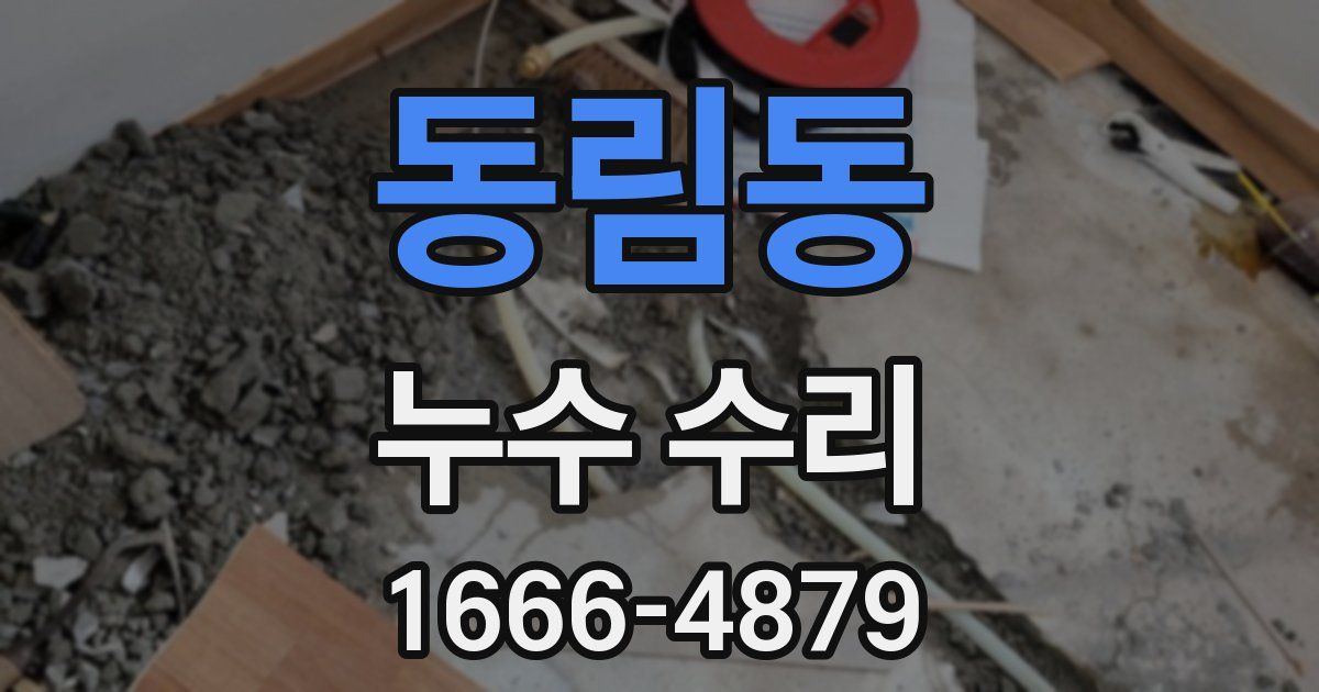 동림동 누수 수리