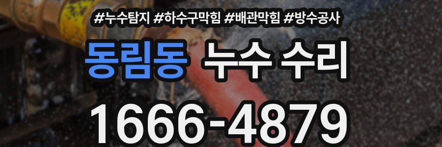 동림동 누수 수리