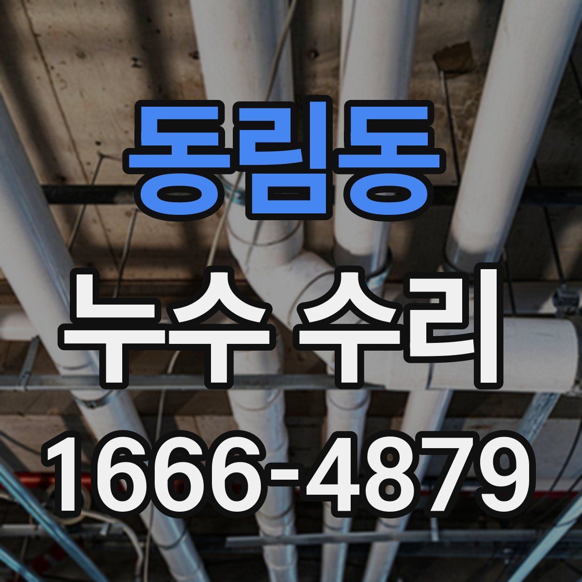 동림동 누수 수리