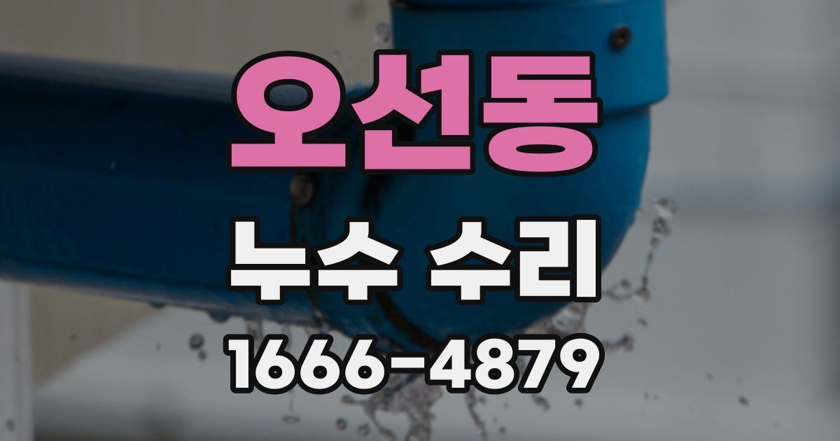 오선동 누수 수리