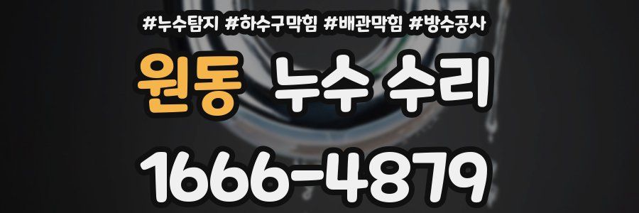 원동 누수 수리