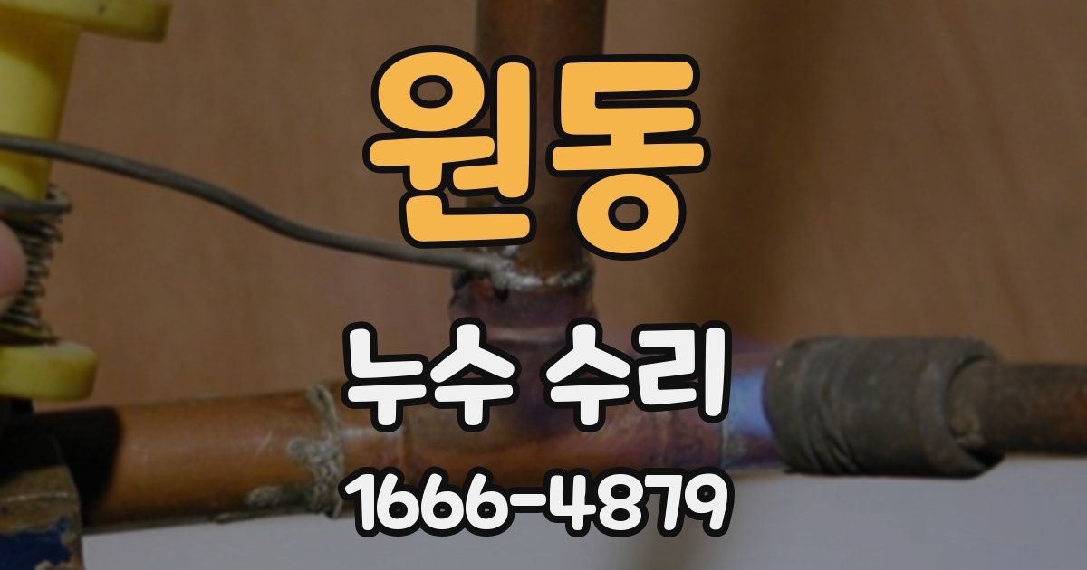 원동 누수 수리