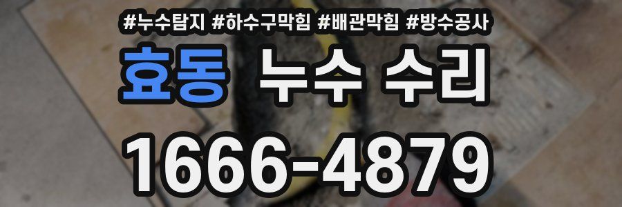효동 누수 수리