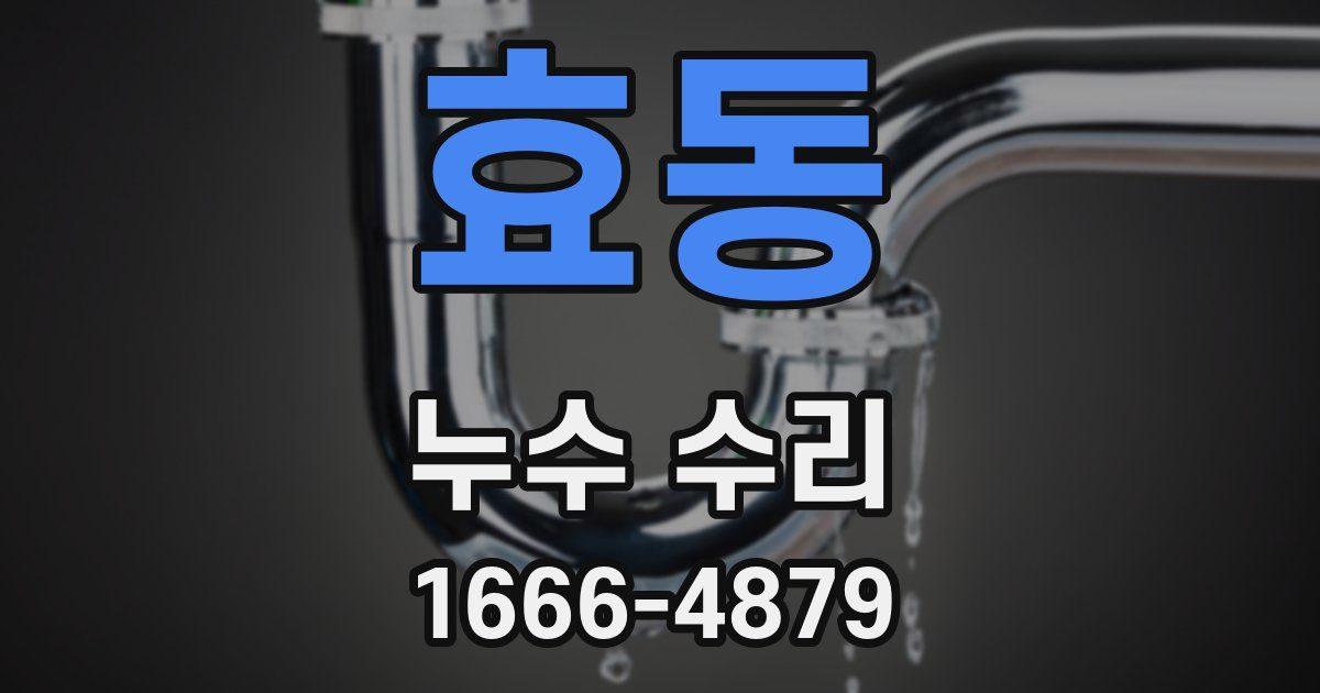 효동 누수 수리