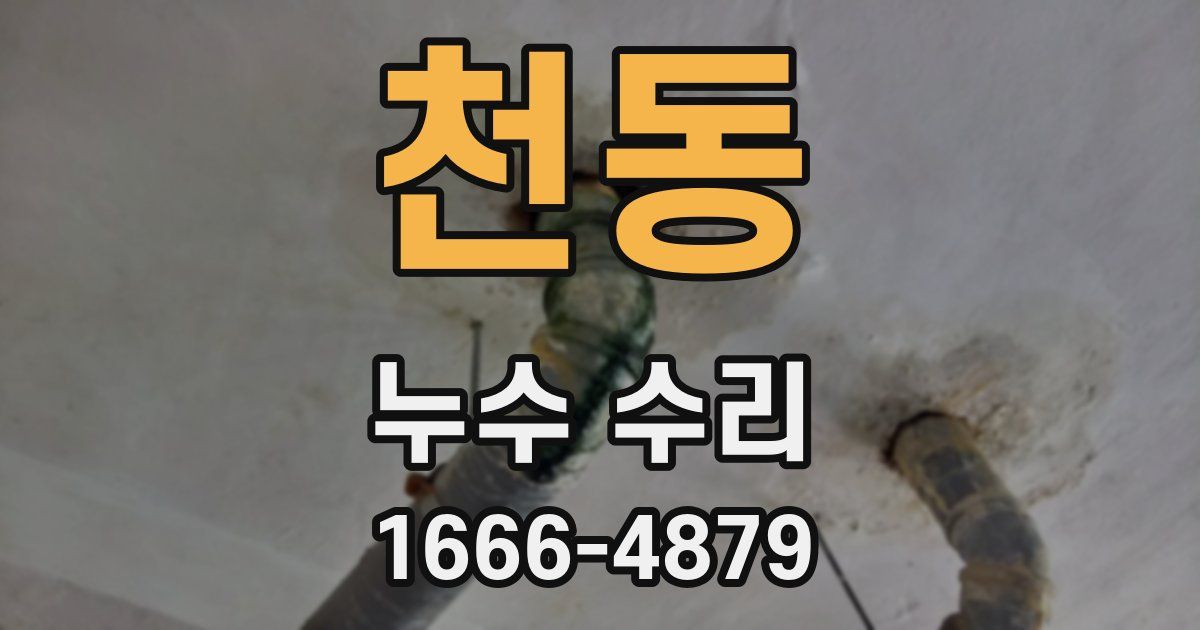 천동 누수 수리