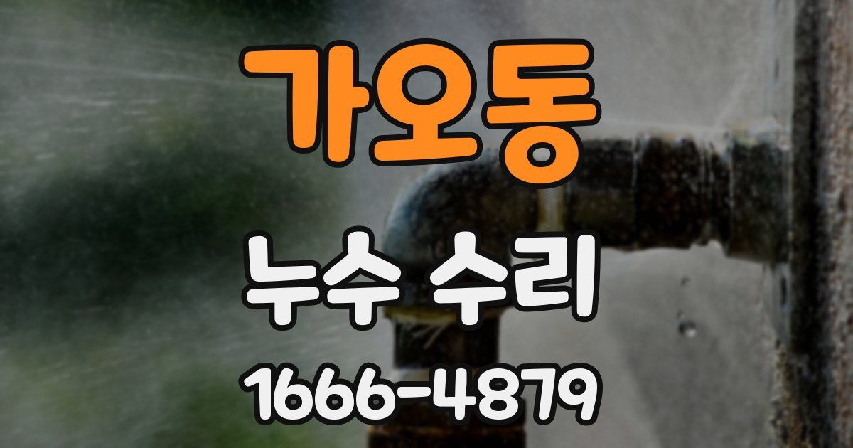 가오동 누수 수리