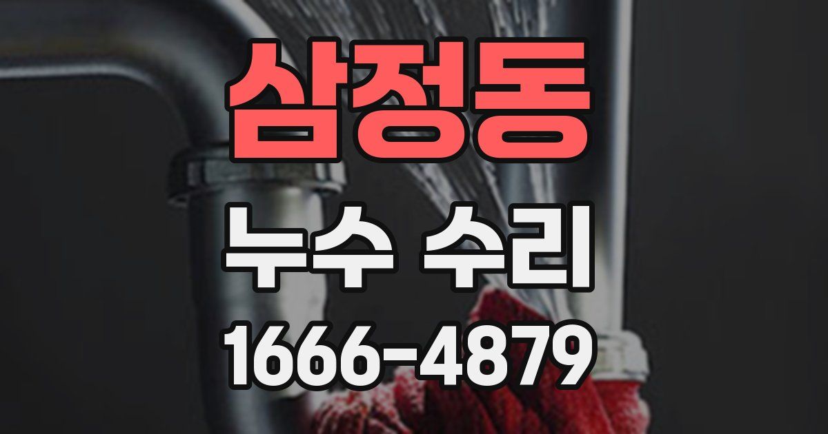 삼정동 누수 수리