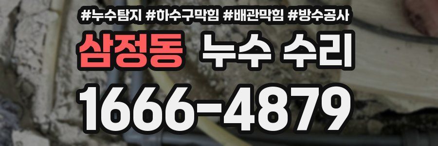 삼정동 누수 수리