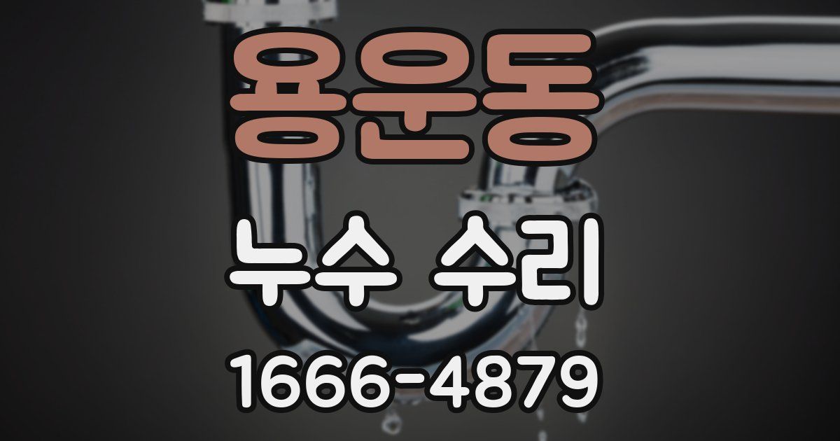 용운동 누수 수리