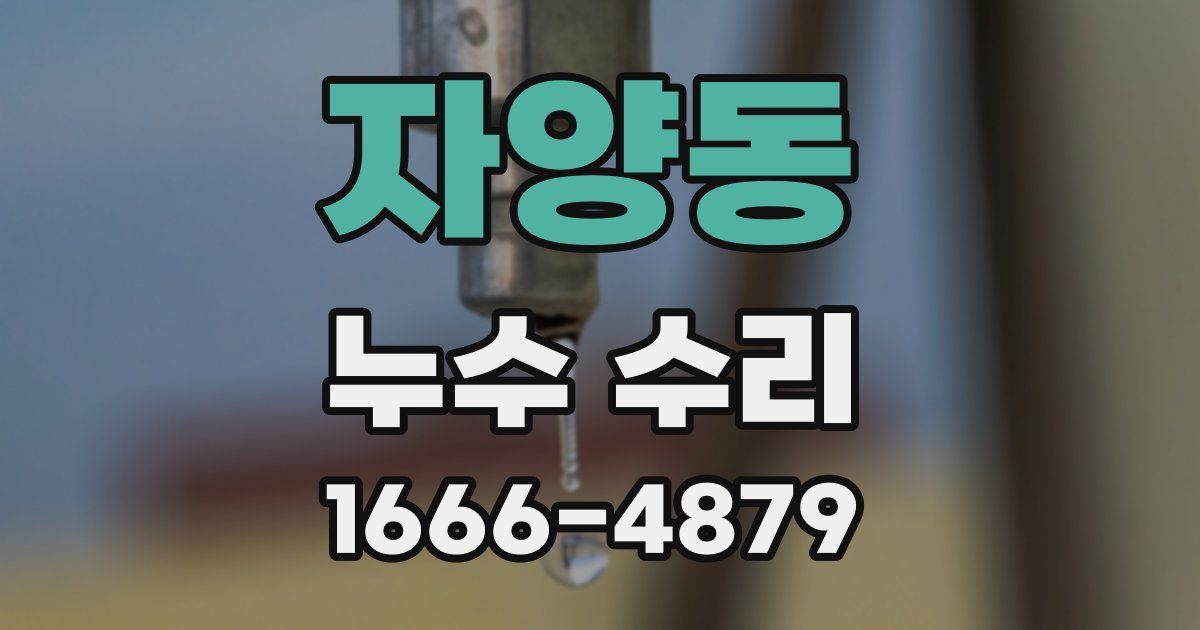 자양동 누수 수리