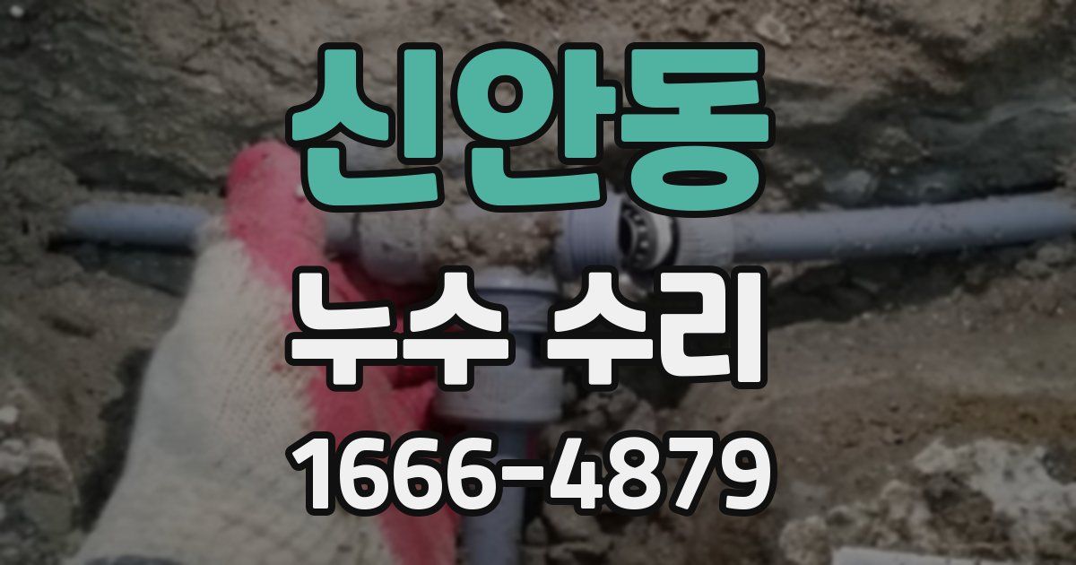 신안동 누수 수리