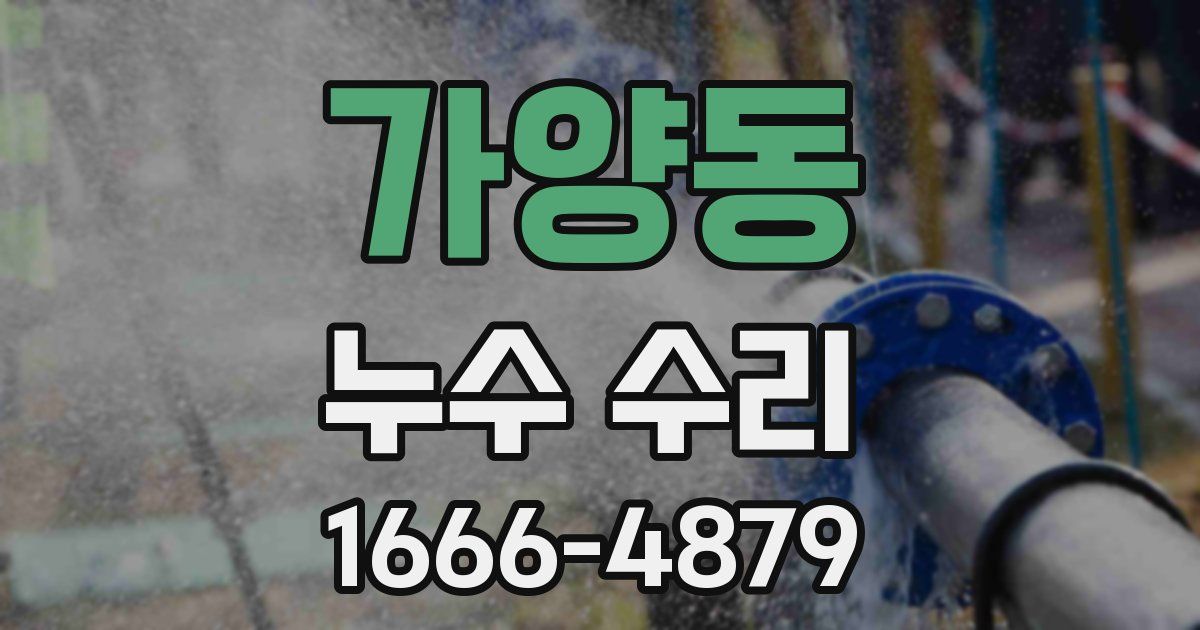 가양동 누수 수리