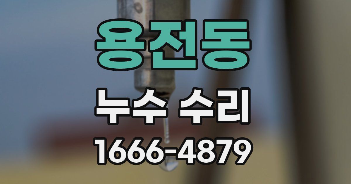 용전동 누수 수리