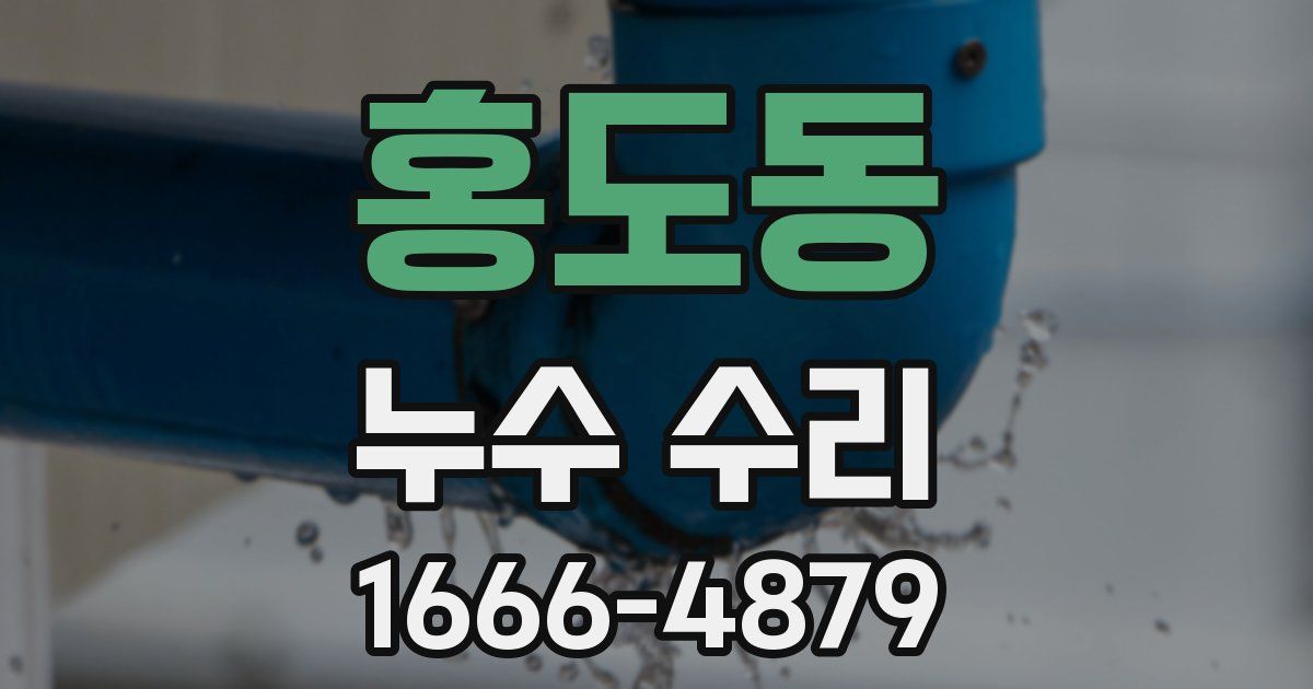홍도동 누수 수리