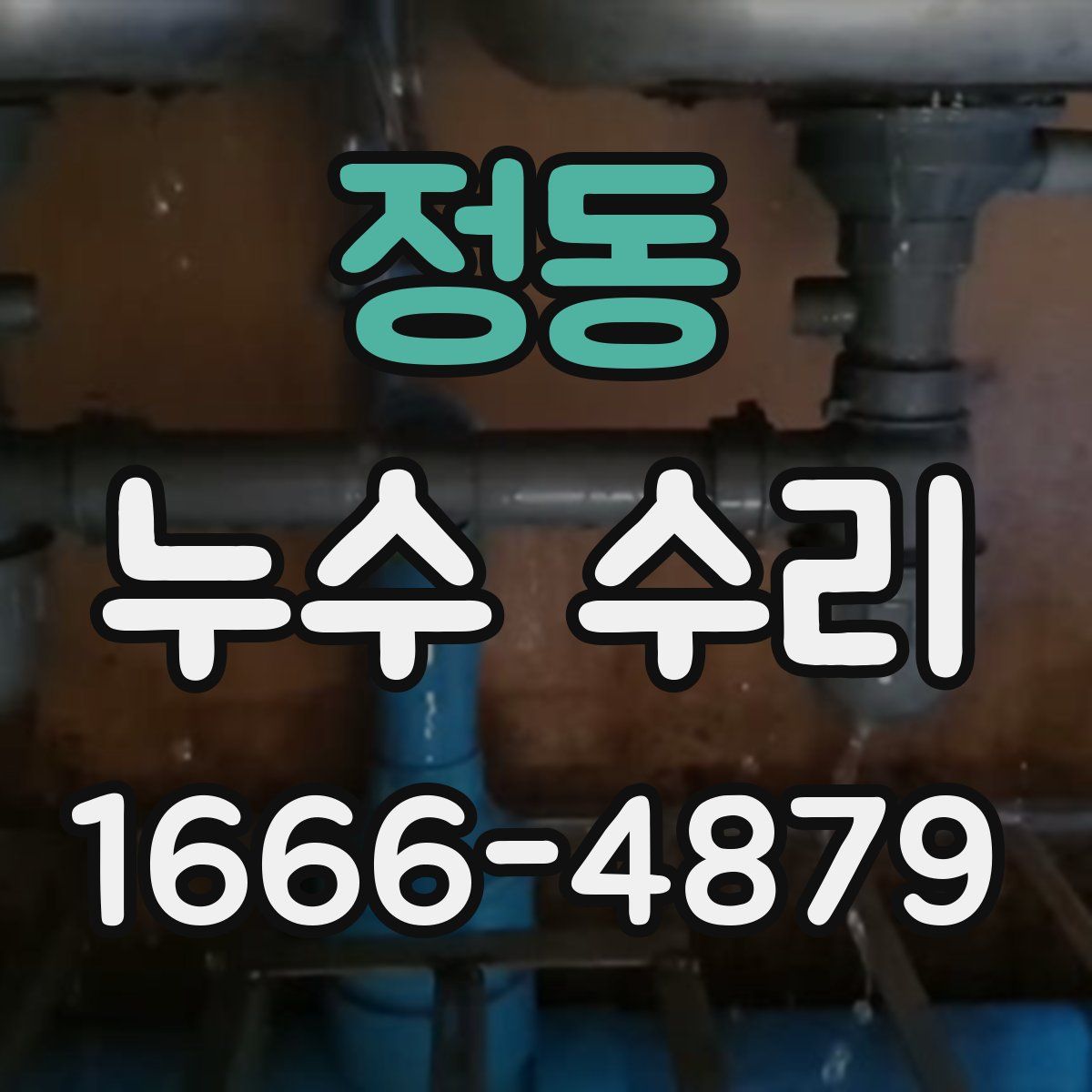 정동 누수 수리