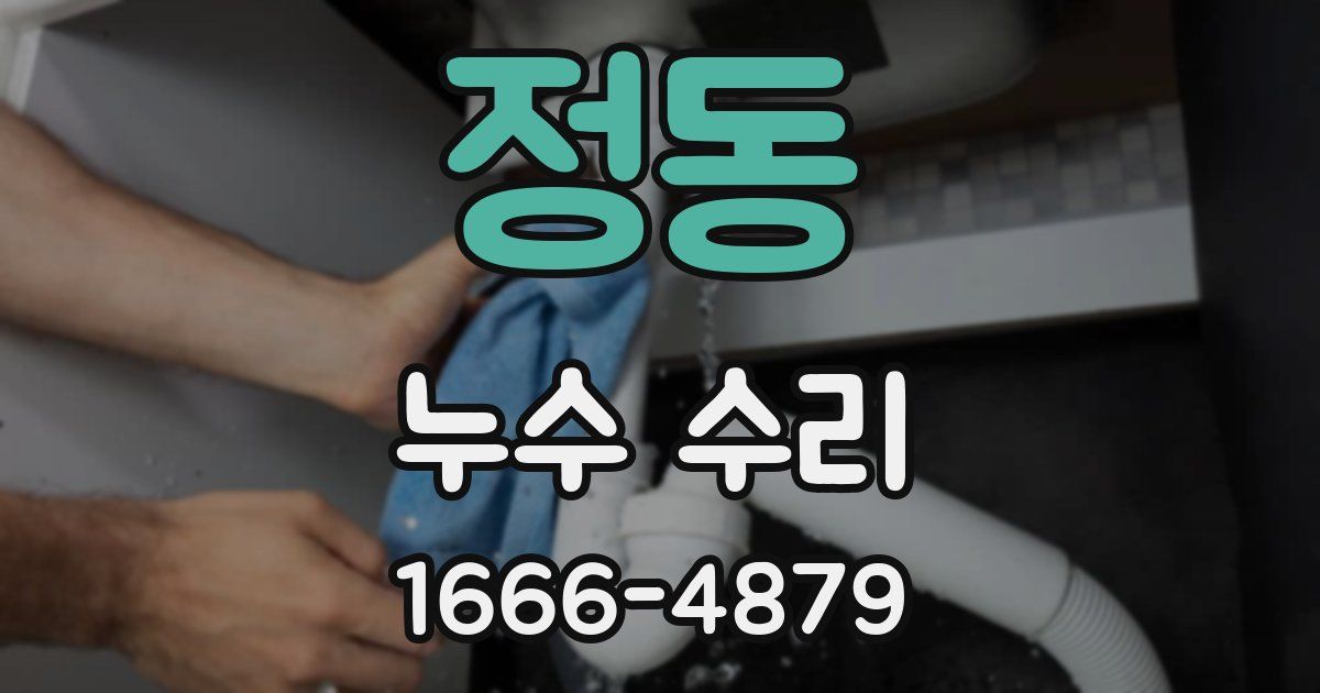 정동 누수 수리