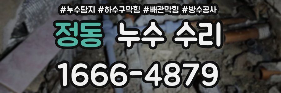정동 누수 수리