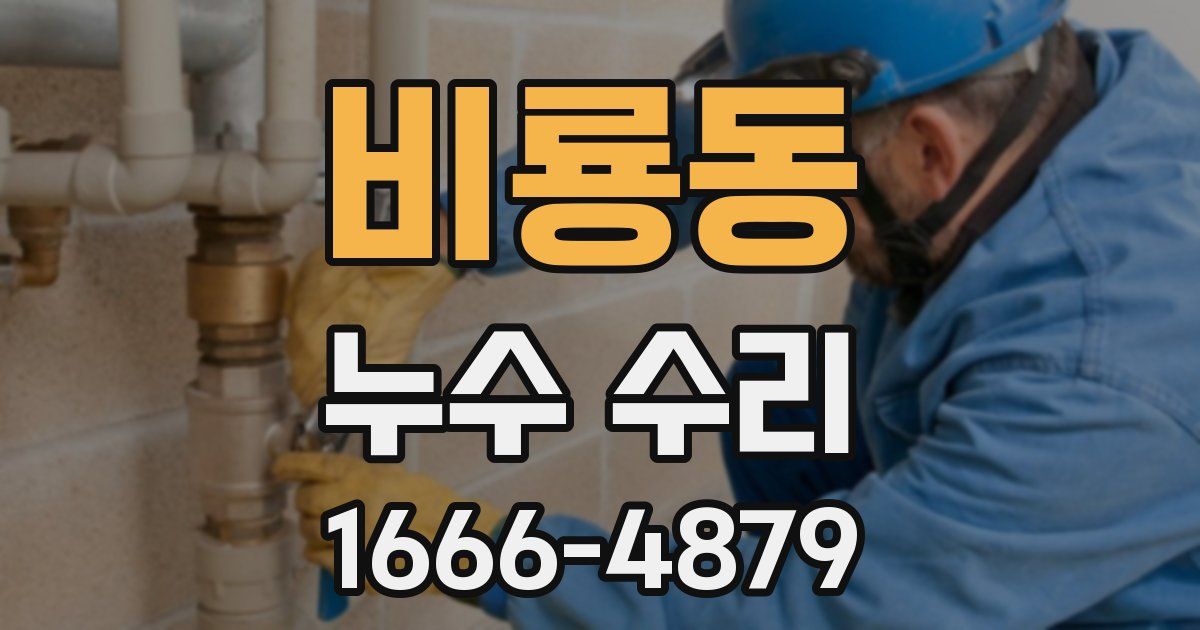 비룡동 누수 수리