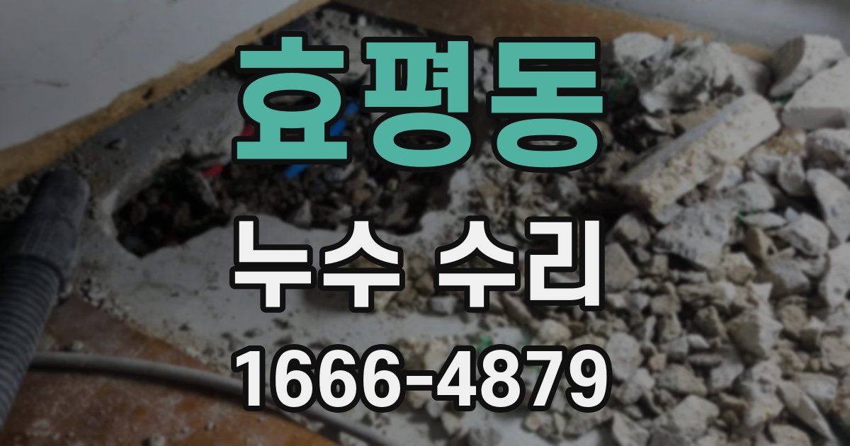 효평동 누수 수리
