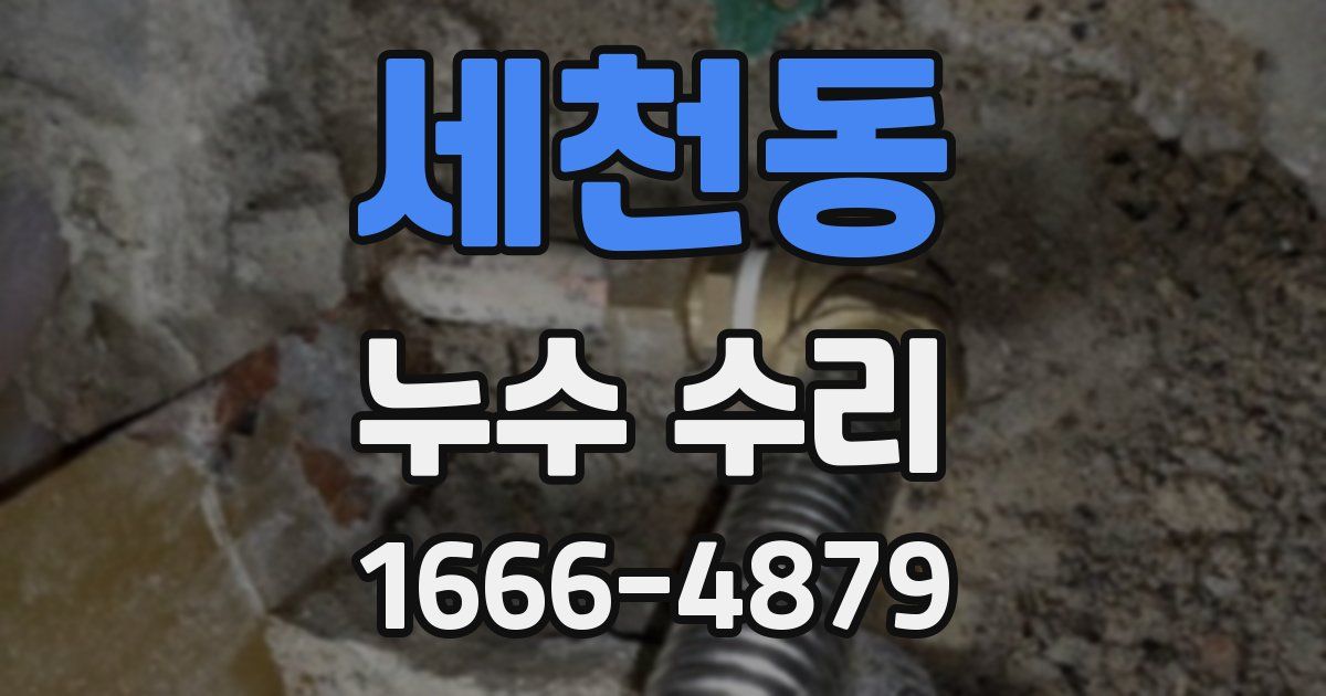 세천동 누수 수리