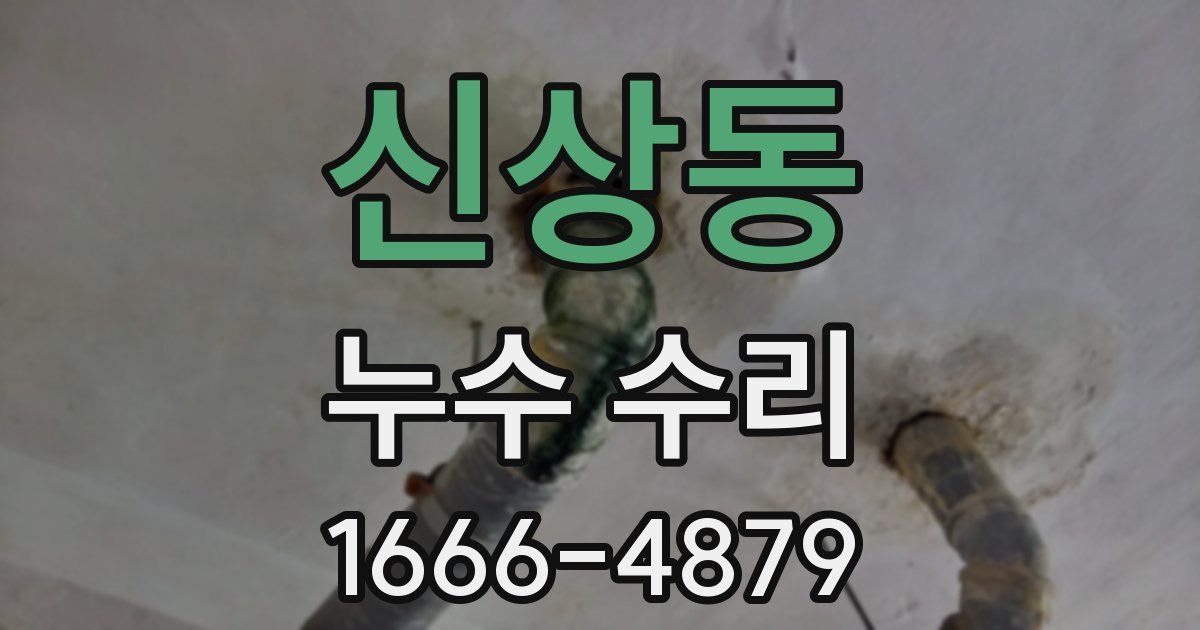 신상동 누수 수리