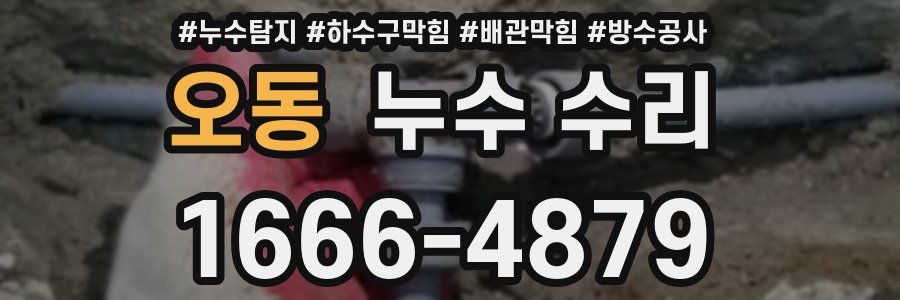 오동 누수 수리
