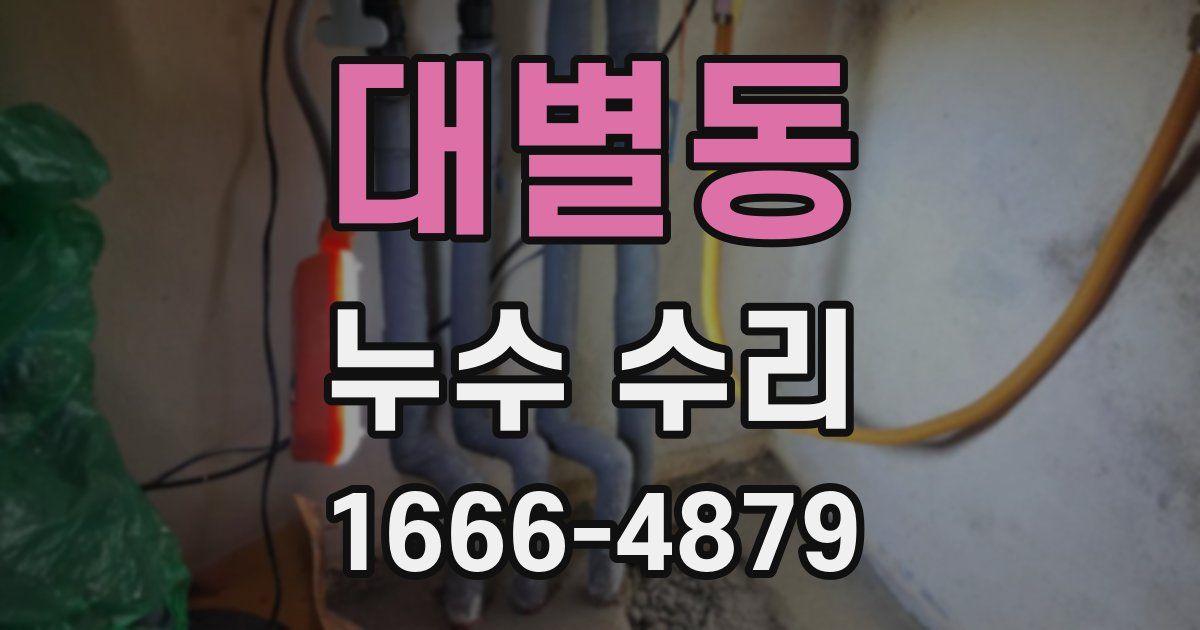 대별동 누수 수리