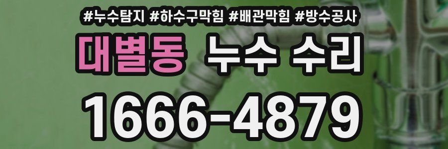 대별동 누수 수리