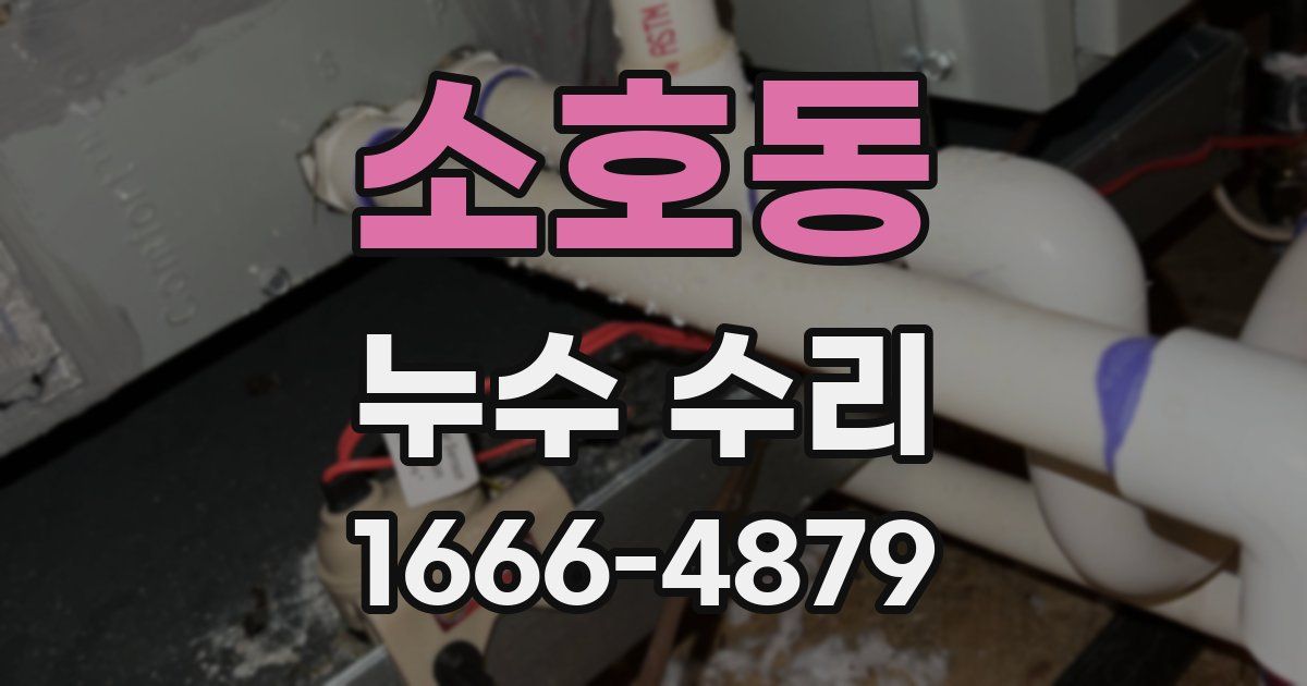 소호동 누수 수리