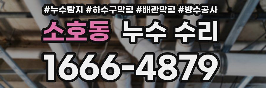 소호동 누수 수리