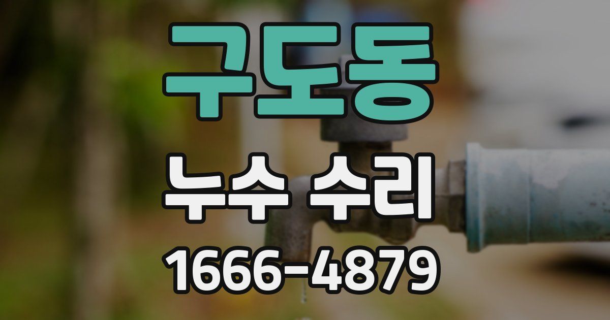 구도동 누수 수리