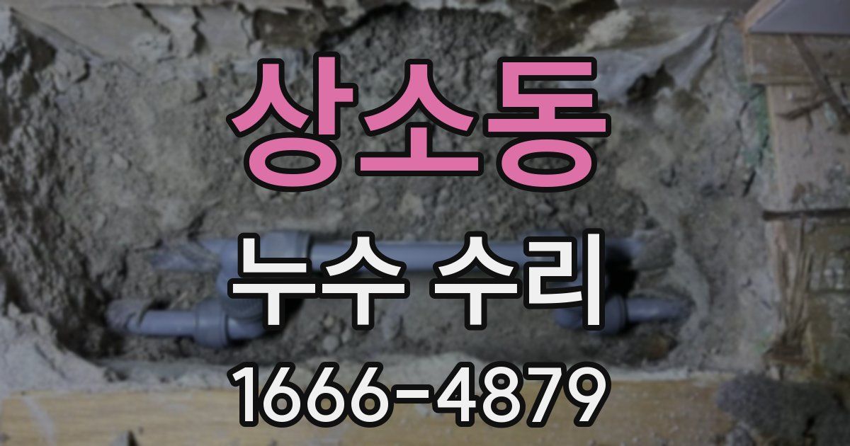 상소동 누수 수리