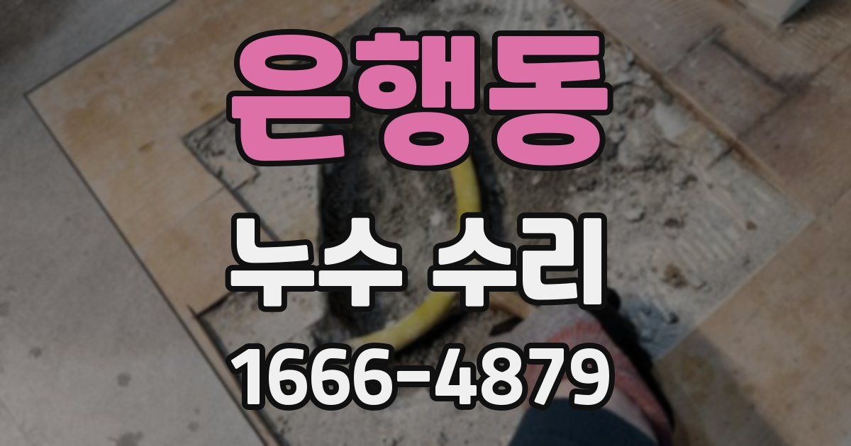 은행동 누수 수리